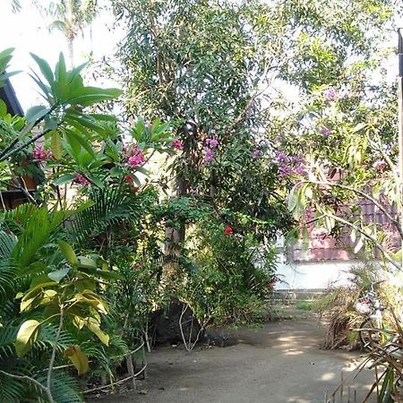 Hello Lumbung Homestay Гілі-Аїр Екстер'єр фото